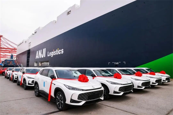 当技术开花、改革结果：上汽的“硬核反攻”