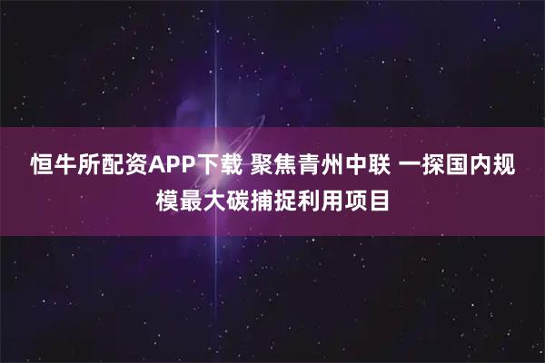 恒牛所配资APP下载 聚焦青州中联 一探国内规模最大碳捕捉利用项目
